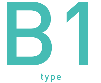 B1 TYPE