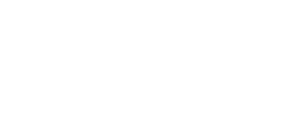 Owner’s Voice