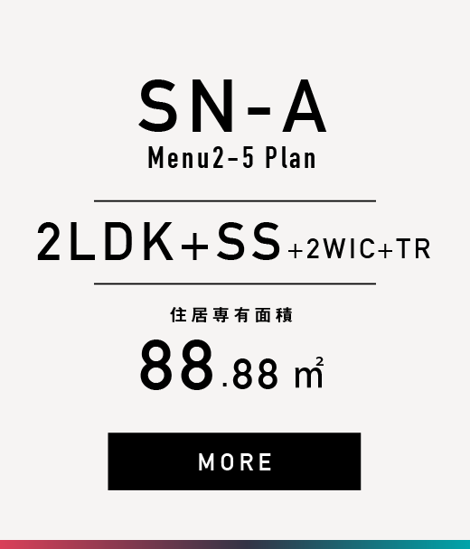 SN-A2