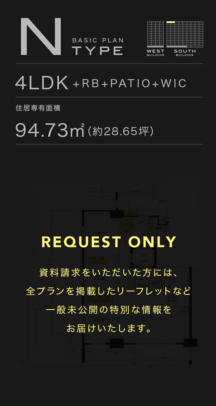 Nタイプ